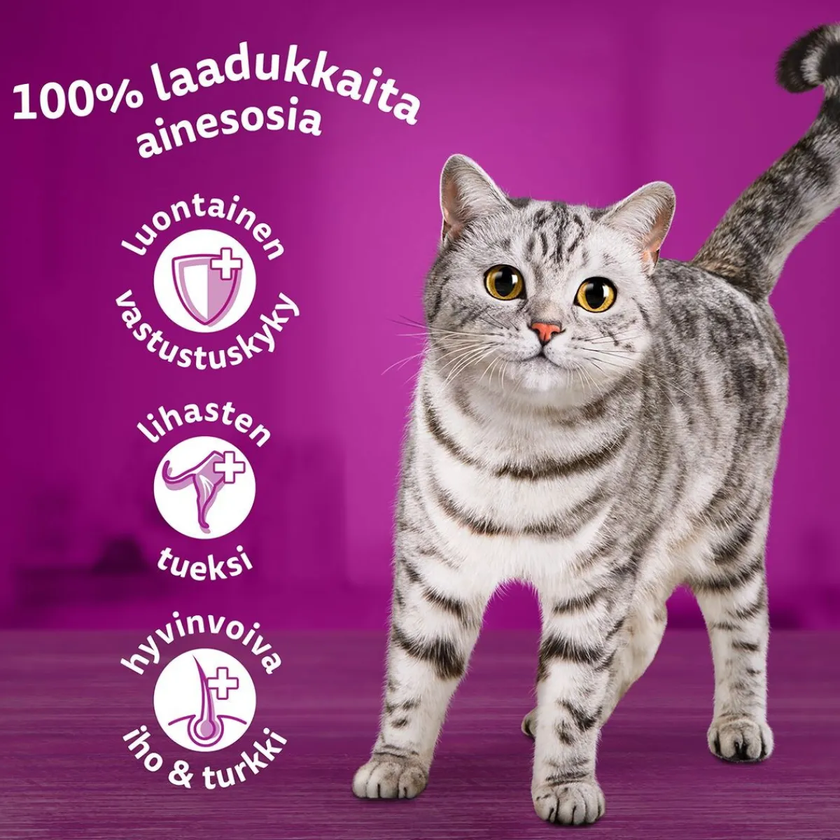 Whiskas Kissan Märkäruoka*1+ gravy 40x85 g