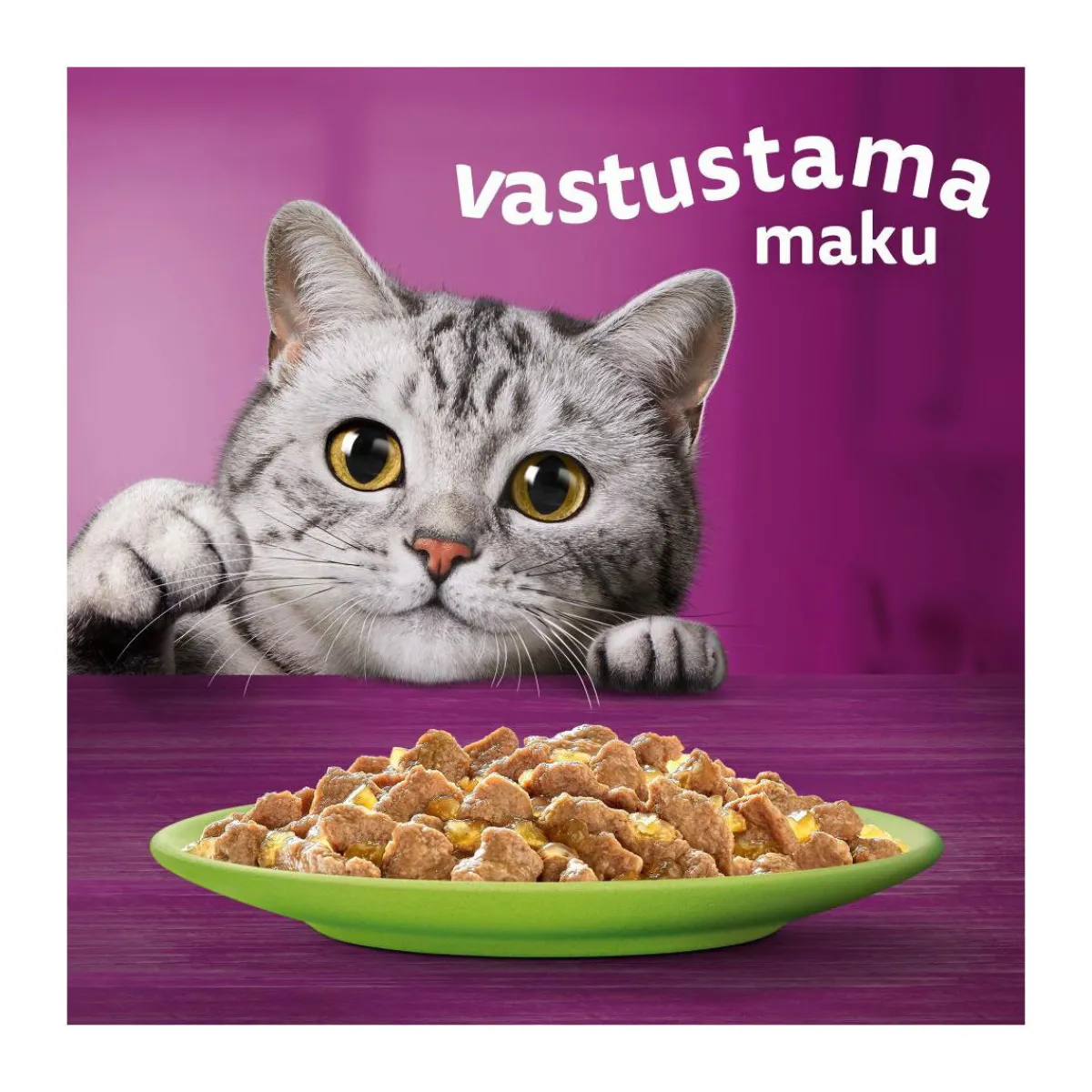 Whiskas Kissan Märkäruoka*1+ jelly 40x85 g