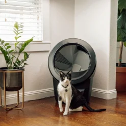 Whisker Automaattiset Kissanvessat|Lemmikkiteknologia*Litter-Robot 4, musta