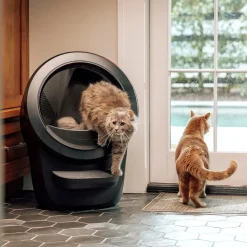 Whisker Automaattiset Kissanvessat|Lemmikkiteknologia*Litter-Robot 4, musta