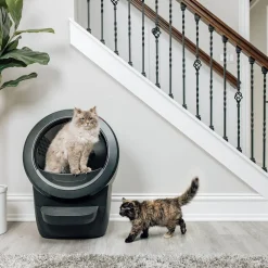 Whisker Automaattiset Kissanvessat|Lemmikkiteknologia*Litter-Robot 4, musta