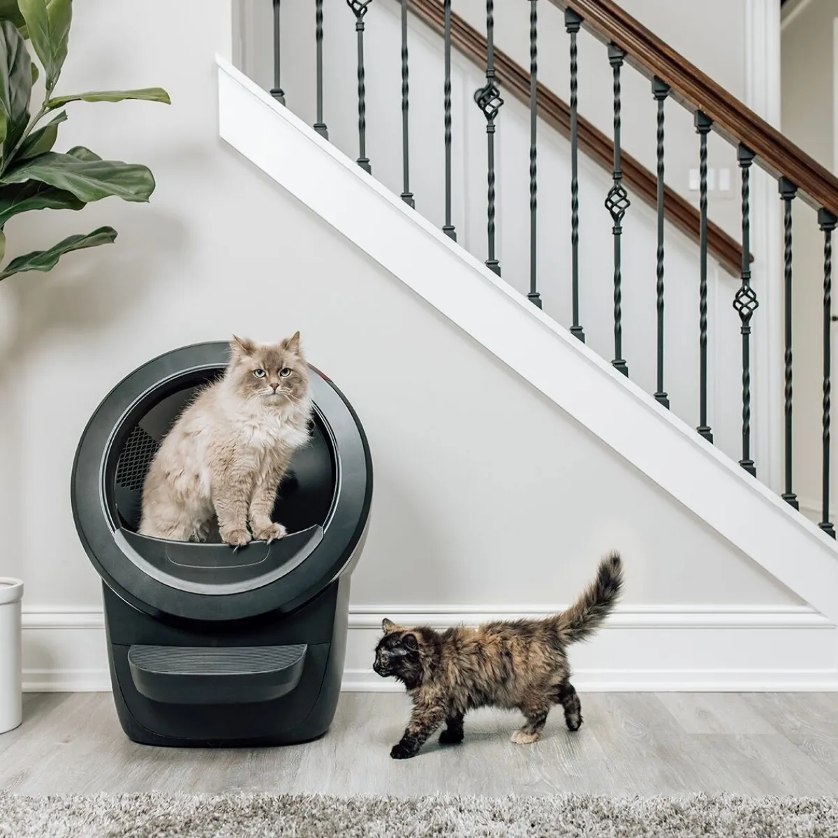 Whisker Automaattiset Kissanvessat|Lemmikkiteknologia*Litter-Robot 4, musta