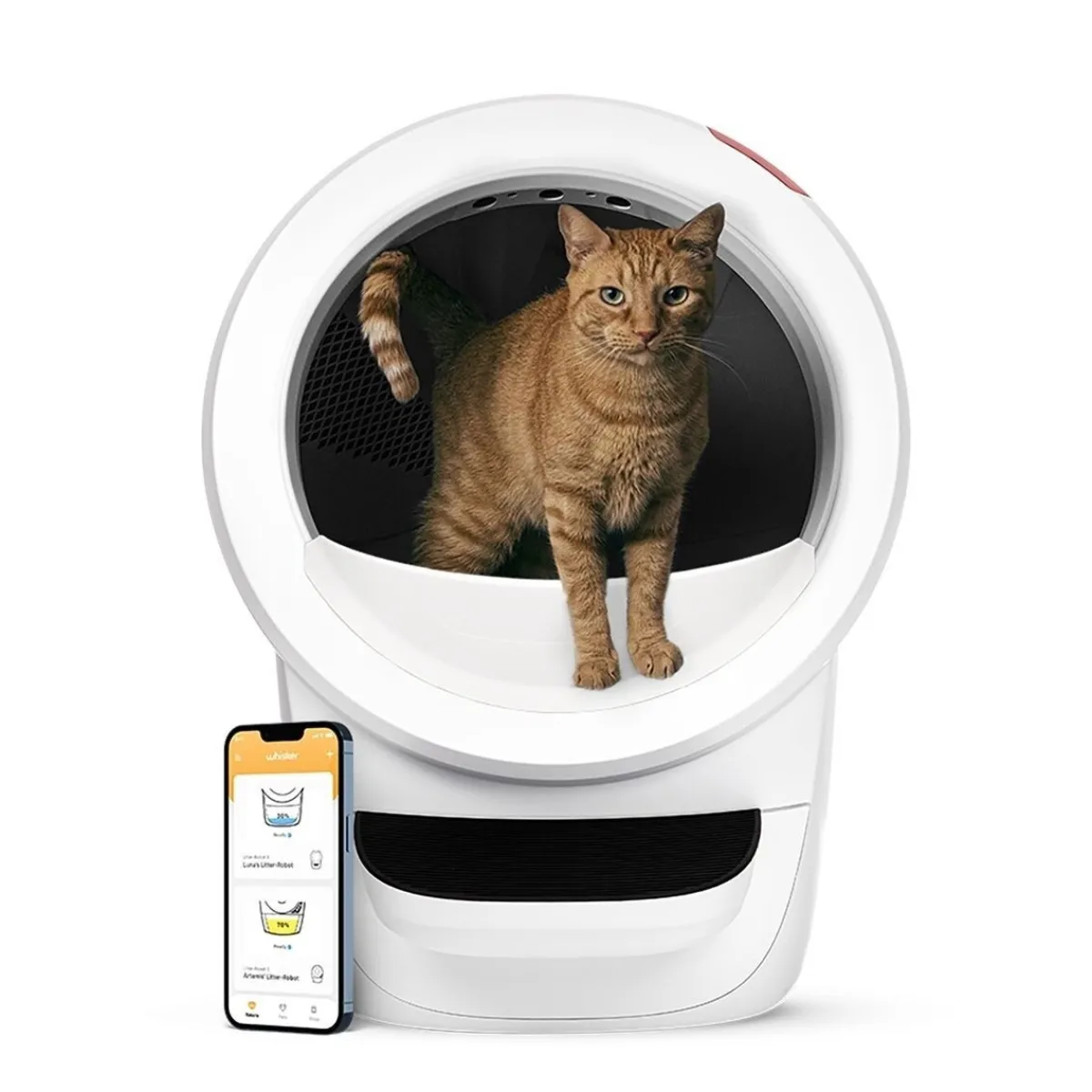 Whisker Automaattiset Kissanvessat|Lemmikkiteknologia*Litter-Robot 4, valkoinen