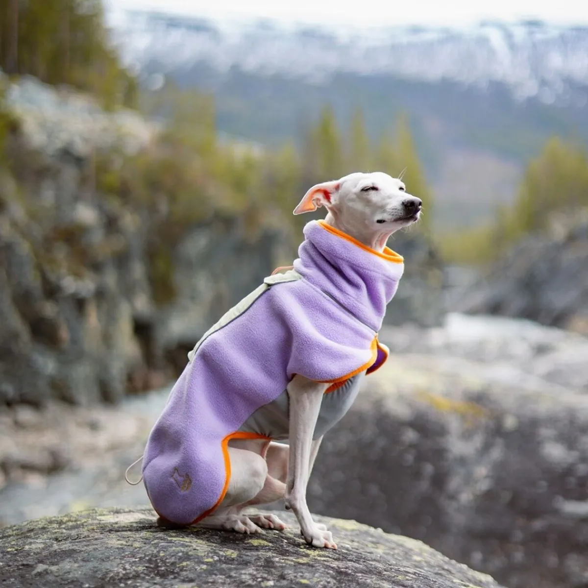 Woolly Wolf Koiran Vaatteet|Koiran Paidat Ja Neuleet*Alpha 360 Fleecepusakka, Lavender Mix