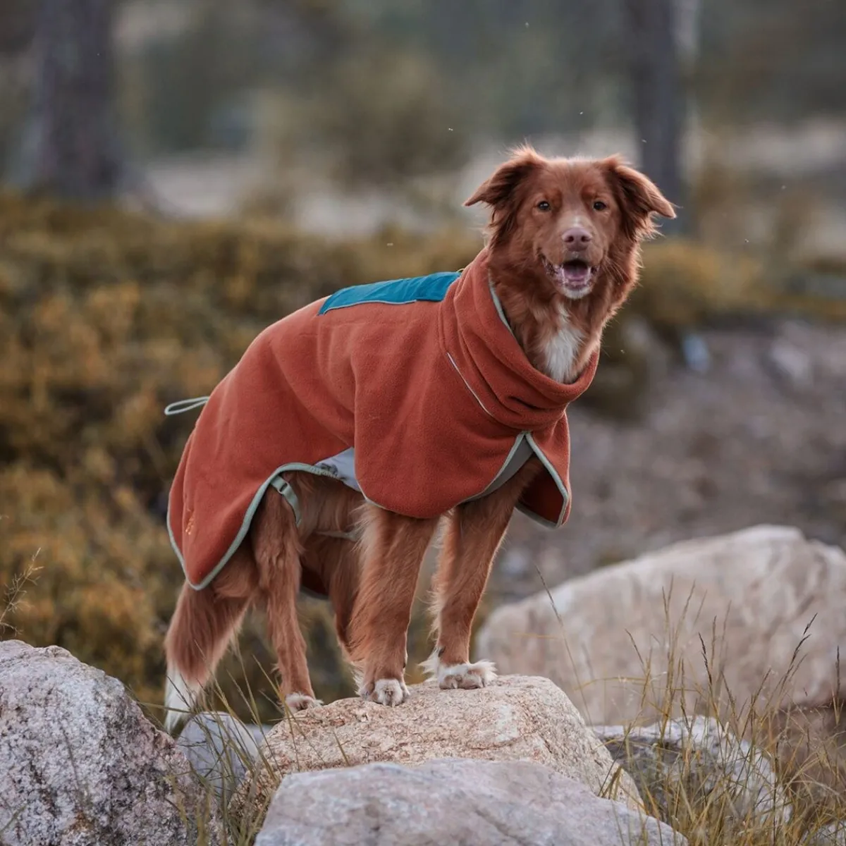 Woolly Wolf Koiran Vaatteet|Koiran Paidat Ja Neuleet*Alpha 360 Koiran fleecepusakka, Terracotta Mix