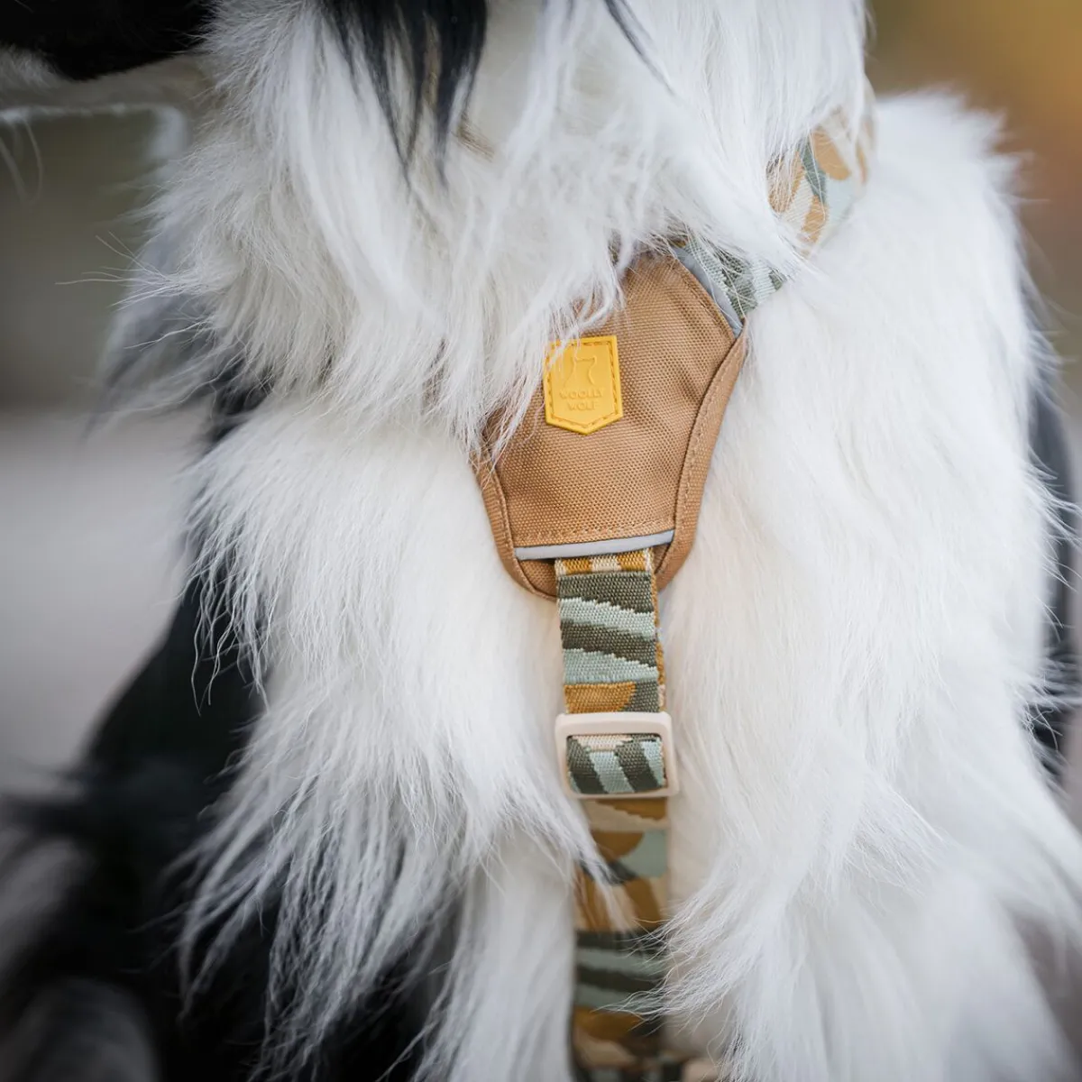 Woolly Wolf Koiran Valjaat|Uutuudet Koirille*Cloudbeam -valjas
