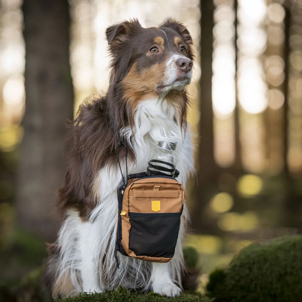 Woolly Wolf Makupalapussit|Uutuudet Koirille*Hydration -olkalaukku, brown mix
