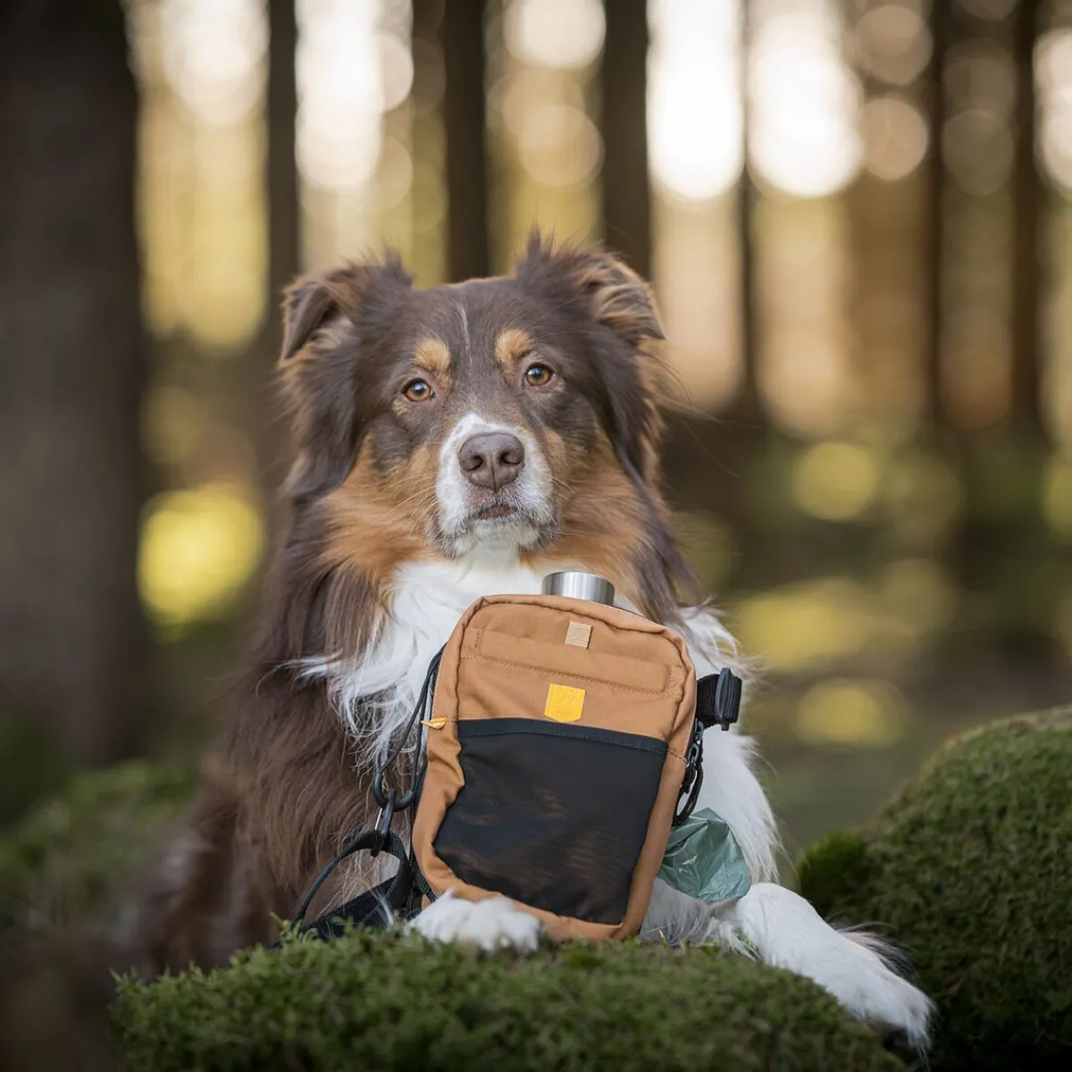 Woolly Wolf Makupalapussit|Uutuudet Koirille*Hydration -olkalaukku, brown mix